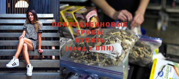 соль курить ск Алексеевка